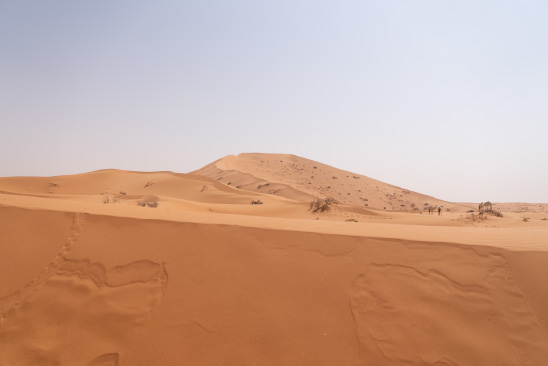 النفود الكبير